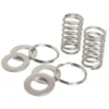 NRS Oarlock Stainless Springs